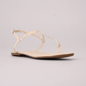 Flat  Atemporal Gelo
